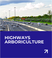 Highways Arboriculture