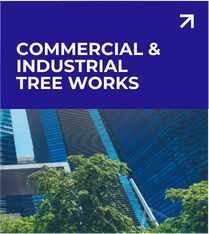 Commercial & Industrial Tree Works
